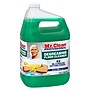 Mr. Clean Professional Degreasing Floor Cleaner, Clean Scent, 1 Gallon (19858)~#|#~EB42B520-2AD3-4FBD-96F4FDC26B345E25_sc7