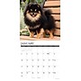 2027 Willow Creek Multi 12" x 12" Monthly Wall Calendar, Assorted Colors (61855)~#|#~EB68E36B-DAF1-411D-9CA4E13E3EFAAA6D_sc7