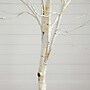 Nearly Natural 6-ft Pre-Lit Artificial White Birch Tree with 90 White LED Lights (T4931)~#|#~EB7172E3-11DA-4C22-8DDABDF9A7D6C58D_sc7