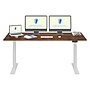 FlexiSpot E7 Commercial 72''W Electric Rectangular Adjustable Standing Desk, Black Walnut/White (E7WCOM7230-BW)~#|#~EB9F2C73-EADF-49FF-BA4B9020D6FC8319_sc7