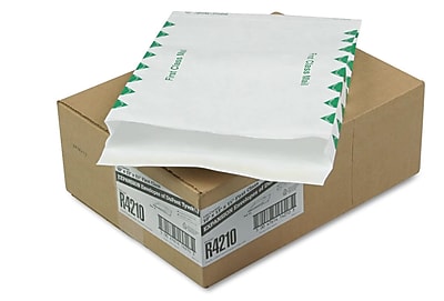 Quality Park Tyvek Buste di prima classe, 22,9 x 30,5 cm, bianco, confezione da 100 pezzi (R3130
