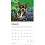 2026 BrownTrout Chihuahuas 12" x 12" Monthly Wall Calendar (9798330702947)~#|#~EBA442C7-8CB3-4D57-B57E9768FF7DAA31_sc7