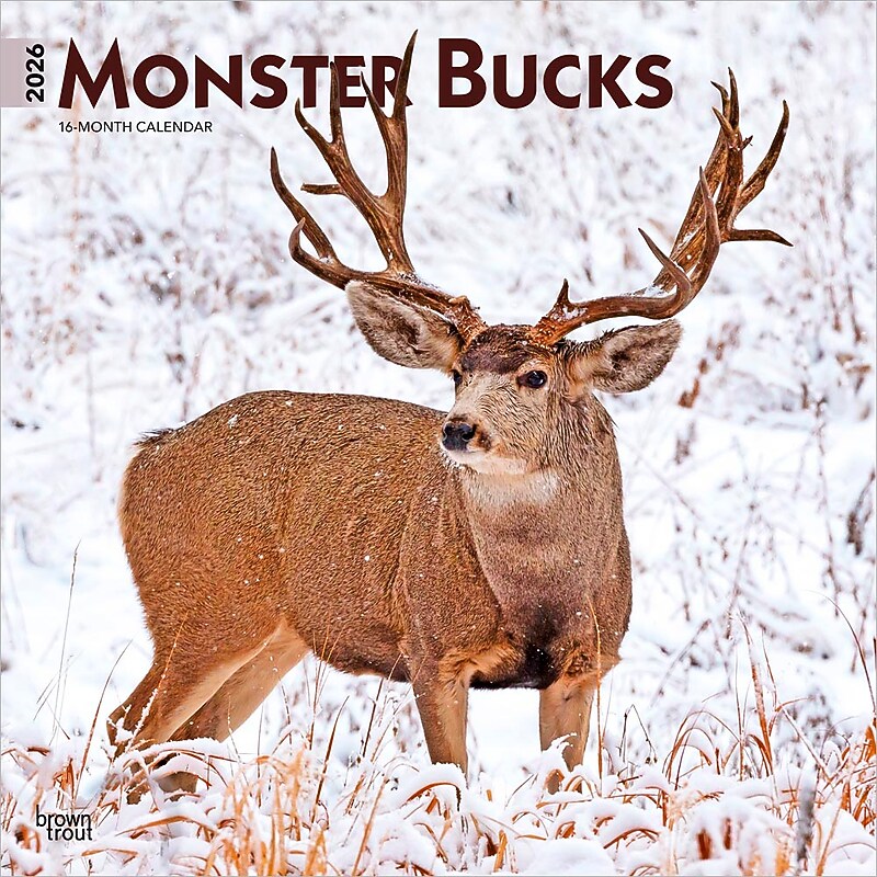 2026 BrownTrout Monster Bucks 12" x 12" Monthly Wall Calendar (9798330704682) image 1