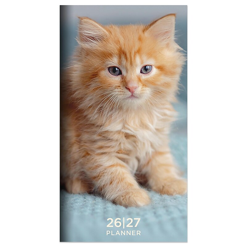2026-2027 TF Publishing Kitten 3.5" x 6.5" Monthly, Paperboard Cover, Multicolored (26-7022) image 1