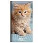 2026-2027 TF Publishing Kitten 3.5" x 6.5" Monthly, Paperboard Cover, Multicolored (26-7022)~#|#~EBF7C3B2-F695-4E61-909C3DBBD28EBBDE_sc7