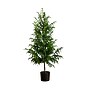 Nearly Natural Artificial Norfolk Pine Tree, 5' (T4709)~#|#~EBF98DCA-D7FD-4287-BBFE314416C9594C_sc7