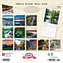 2026 BrownTrout New York Wild & Scenic 12" x 12" Monthly Wall Calendar (9798330704897)~#|#~EBFA7ACD-10D2-4033-9822875F4A6F1A41_sc7