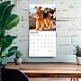 2026 BrownTrout Airedale Terriers 12" x 12" Monthly Wall Calendar (9798330702015)~#|#~EBFB2C2A-E77D-492F-AF4A098D23AF53A9_sc7