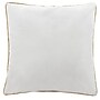 Safavieh Wynter Pillow, 18" X 18" (PLS7119A-1818)~#|#~EBFC393A-5B08-4A77-BF902B037BDD8E43_sc7