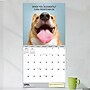 2026 TF Publishing Desk Dogs 12" x 12" Monthly Wall Calendar (26-1052)~#|#~EC1BC8CB-29FE-4876-A67C48FC8C08EBBA_sc7