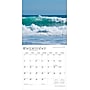 2026 BrownTrout Massachusetts Wild & Scenic 12" x 12" Monthly Wall Calendar (9798330704521)~#|#~EC32B9C6-367F-4893-85790E7E32D73218_sc7