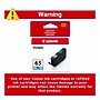 Canon 65 PC Photo Cyan Standard Yield Ink Cartridge (4220C002)~#|#~EC4687CF-DBBA-4D3F-BFBC28DC6A21BD7A_sc7