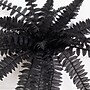 Nearly Natural 19" Artificial Halloween Black Boston Fern, 6/Set (P2199-S6)~#|#~EC900478-FB6B-4055-AC583D01C88DEDC7_sc7