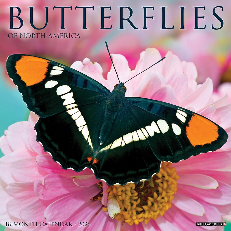 2026 Willow Creek Butterflies 12" x 12" Monthly Wall Calendar (50453) image 1