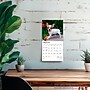 2026 BrownTrout Chihuahua Puppies 7" x 7" Monthly Wall Calendar (9798330702916)~#|#~ECA3ED8F-7751-4AC3-8F28842325A35C63_sc7