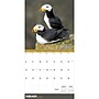 2026 TF Publishing Wild 12" x 12" Monthly Wall Calendar, Multi (26-1032)~#|#~ECFDBA46-B763-439A-A995DE703CDC6A4B_sc7