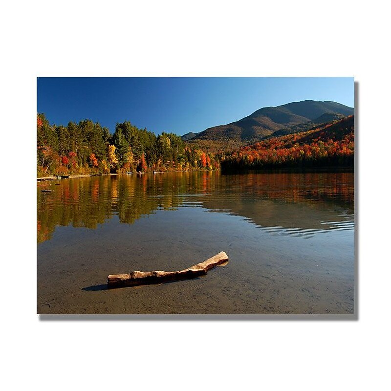 Trademark Fine Art 'The Adirondack Driftwood' 18" x 24" Canvas Art image 1