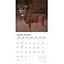 2026 Plato Monster Bucks 12" x 12" Monthly Wall Calendar (9798330706884)~#|#~ED232BD0-72EF-4891-B3FD44FBC3F0AA23_sc7