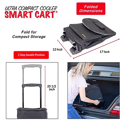 Dbest Ultra Compact Cooler Smart Cart