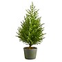 Nearly Natural Norfolk Island Pine Natural Look Artificial Tree in Decorative Planter, 3' (T1511)~#|#~ED2DB79D-80C7-4C58-A8816096A4B0DBAB_sc7