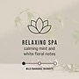 Rubbermaid Commercial CirculAir 90 Air Freshener Solid, Relaxing Spa Scent, 6/Carton (2231719)~#|#~ED2E296F-C23E-4312-8AD9BA946DD455D7_sc7