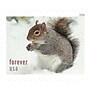 USPS Squirrels & Chipmunks in Snow Forever 20 Postage Stamps (FOR-SQUIRREL-20)~#|#~ED43678F-9920-4143-8B1702C7D5BB0CB4_sc7