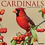 2026 Willow Creek Cardinals 12" x 12" Monthly Wall Calendar (50552)~#|#~ED48988C-D198-4E2C-8617BB9F485FE06C_sc7