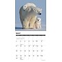2027 Willow Creek Polar Bears 12" x 12" Monthly Wall Calendar, Assorted Colors (61831)~#|#~ED4BEC48-9C17-4EA9-B7540A7C3BAF216A_sc7
