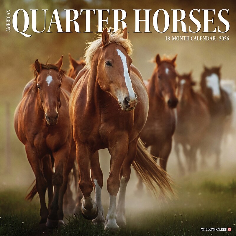 2026 Willow Creek American Quarter Horses 12" x 12" Monthly Wall Calendar (49853) image 1