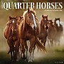 2026 Willow Creek American Quarter Horses 12" x 12" Monthly Wall Calendar (49853)~#|#~ED534452-55F1-47BE-BE3630FACBBF19EB_sc7