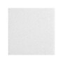 Armstrong LYRA Plant-Based Square Tegular Edge Ceiling Tile 15/16, 24" x 24", White, 12/Carton (BP8360EPB)~#|#~ED598CEA-B6FF-4E72-919FEFC6150609FF_sc7