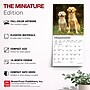 2027 BrownTrout Golden Retrievers 7" x 7" Monthly Wall Calendar, Assorted Colors (9798330714209)~#|#~ED5CF8F7-8184-4DAD-97E2F5C427837EA0_sc7