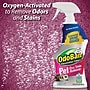 OdoBan Pet Solutions Laundry Stain Remover, 32 oz. (961561-Q6)~#|#~ED6C5D2C-A396-4915-BF60940572BD6D7F_sc7