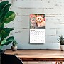 2026 BrownTrout Kittens & Puppies 7" x 7" Monthly Wall Calendar (9798330704095)~#|#~ED711B49-CE16-4280-A18956590B5A6FCA_sc7
