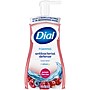 Dial Antibacterial Foaming Hand Soap, Power Berries Scent, 8/Carton (017000347271)~#|#~ED744870-BD4A-4F33-B6F91F5913ACA009_sc7