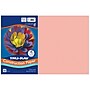 Tru-Ray 12" x 18" Construction Paper, Salmon, 50 Sheets/Pack, 5 Packs/Bundle (PAC103042-5)~#|#~ED7F1DDE-3ABD-4023-AB3778A7BAB65A5B_sc7