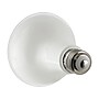 Viribright 10-Watts Warm White LED Floodlight Bulb, 6/Box (450152-ES)~#|#~ED8EC78C-19BB-4555-9BC41FC1CC59AE43_sc7