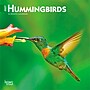 2027 BrownTrout Hummingbirds 7" x 7" Monthly Wall Calendar (9798330709830)~#|#~ED973205-C87B-454B-BA11428AC072795B_sc7