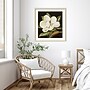 Amanti Art Magnolia Grandiflora 2003 by Jenny Barron Wood Framed Wall Art Print, 31" x 33" (A42675530231)~#|#~ED9C42F4-4CBD-4D54-B290C0D44C1970F1_sc7