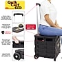 Dbest Quik Cart Pro Rolling Crate Teacher Utility with Seat, Black (01-803)~#|#~EDA76929-1449-4D5B-B5895D93F4D17906_sc7