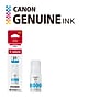 Canon GI-21 Cyan Standard Yield Ink Bottle (CNM4537C001)~#|#~EDB2663A-84C0-40F0-9443D6FED96700E6_sc7