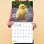 2027 TF Publishing Baby Animals 11" x 12" Monthly Wall Calendar (27-1000)~#|#~EDBEDBD4-9248-4A29-BF8219DBBAEC16EA_sc7
