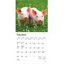 2026 BrownTrout Piglets 7" x 7" Monthly Wall Calendar (9798330705122)~#|#~EDC5D2A0-4324-4A2D-A0088AFE39DF6B44_sc7