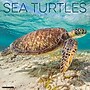 2027 Willow Creek Sea Turtles 12" x 12" Monthly Wall Calendar, Assorted Colors (62210)~#|#~EDE40E2E-E998-4270-86AB67E258B7A7E1_sc7