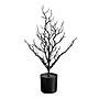 Nearly Natural Pre-Lit Artificial Halloween Black Spooky Twig Tree, 2' (T5233)~#|#~EE0B012E-91AF-4359-AB5D1875D8B5FEB3_sc7