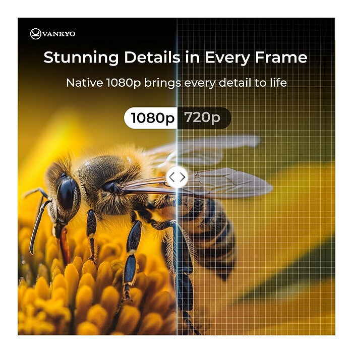 Vankyo Leisure 570 Projector with Screen (LS570B) | Staples