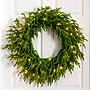 Nearly Natural Pre-Lit Artificial Real Touch Norfolk Island Pine Wreath, 24" (W1392)~#|#~EE177263-F1D2-45CE-B445F918B13780B1_sc7