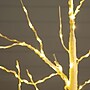 Nearly Natural 4-ft Pre-Lit Artificial White Birch Tree with 180 Warm White LED Lights (T4908)~#|#~EE17BA76-9D7A-406A-AF50BCCD5061633A_sc7