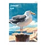 USPS A Day at the Beach Forever Stamps, 20 Postage Stamps (FOR-DAYBEACH-20)~#|#~EE1FDC2F-4449-4002-81506655DE50DD73_sc7