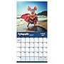 2027 TF Publishing Playful Pigs 11" x 12" Monthly Wall Calendar, Multicolored (27-1023)~#|#~EE2130E2-4DDA-43D1-9549CB64110EE356_sc7